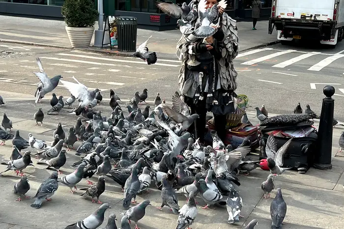 a person covered in pigeons